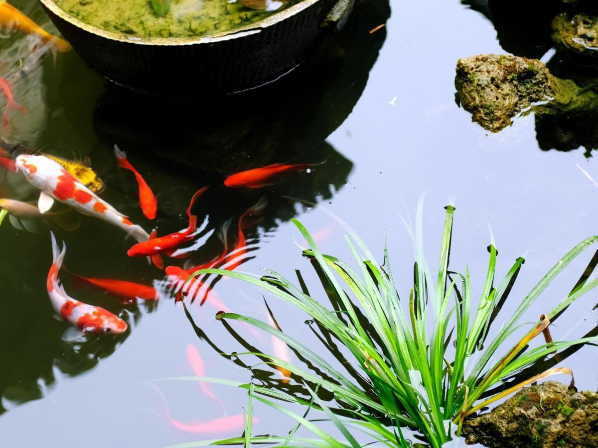 A Pousada Hong Cun Memory In Water Yi (Anhui) Exterior foto